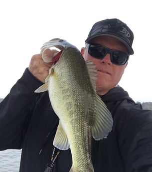 Largemouth Bass fishing in Etoile, Texas