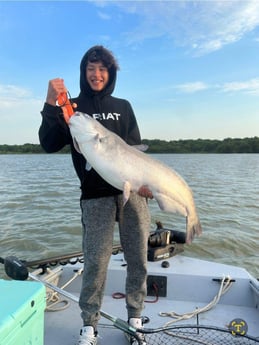 Blue Catfish Fishing in Dallas, Texas