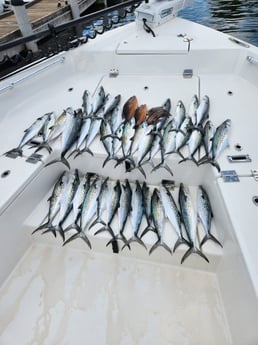 Fishing in Pensacola, Florida