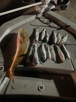 Fishing in Aransas Pass, Texas