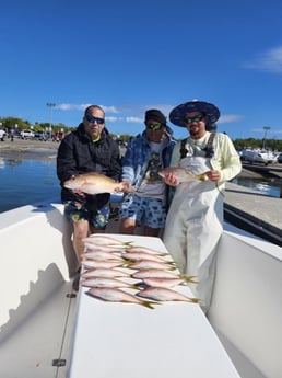Fishing in Miami Beach, Florida