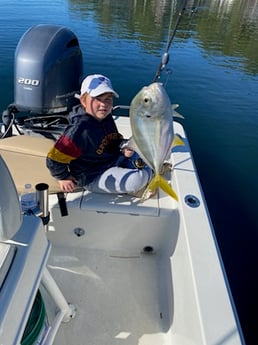 Jack Crevalle Fishing in Destin, Florida