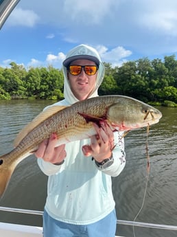 Fishing in Trinity, Florida