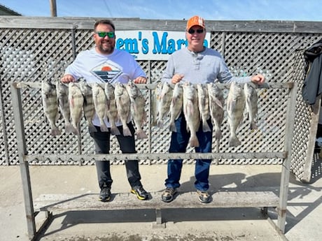 Fishing in Corpus Christi, Texas