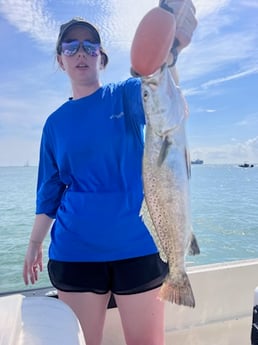 Speckled Trout Fishing in Galveston, Texas
