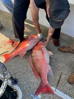Fishing in Orange Beach, Alabama