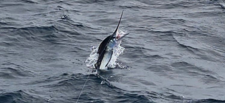 Fishing in Virginia Beach, Virginia