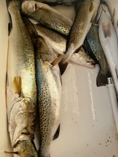 Fishing in South Padre Island, Texas