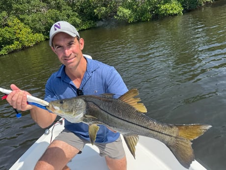 Fishing in St. Petersburg, Florida