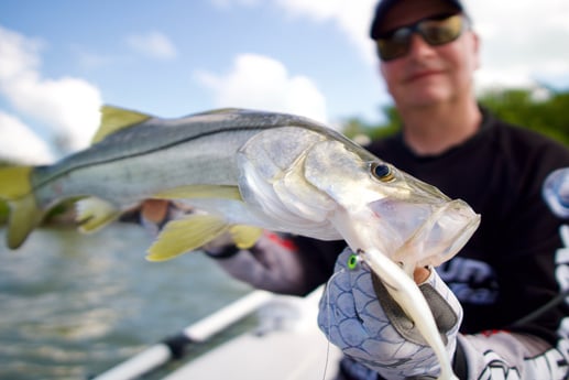 Snook Fishing in Islamorada, Florida