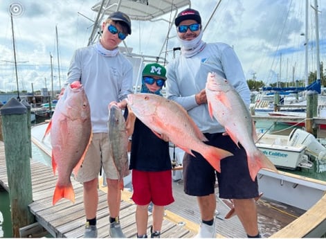 Mutton Snapper fishing in Marathon, Florida