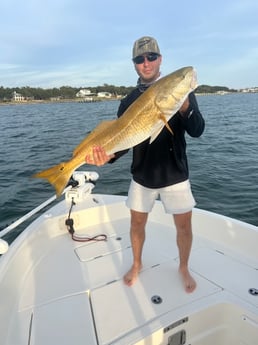 Redfish Fishing in Pensacola, Florida