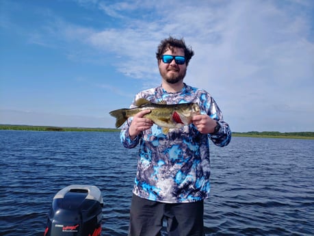 Largemouth Bass Fishing in Kissimmee, Florida