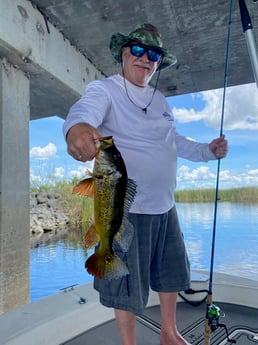 Fishing in Pembroke Pines, Florida