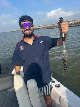 Fishing in League City, Texas