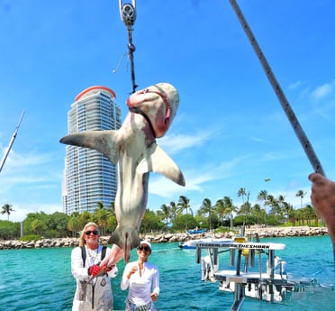 Fishing in Pompano Beach, Florida