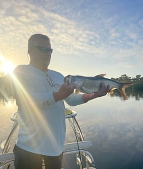 Tarpon Fishing in Palm Coast, Florida