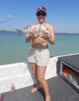 Black Drum Fishing in Port Isabel, Texas