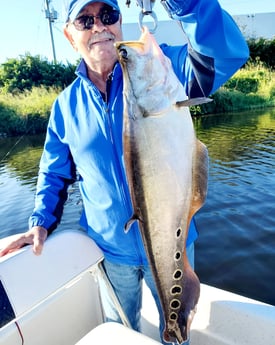 Clown Knifefish Fishing in Delray Beach, Florida