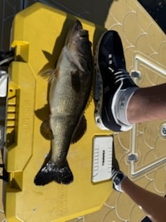 Fishing in Miami, Florida