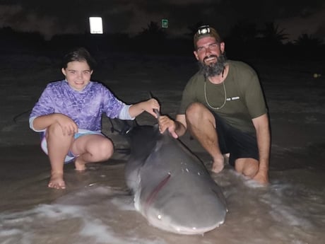 Lemon Shark Fishing in Fort Lauderdale, Florida