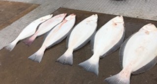 Fishing in San Jose, California