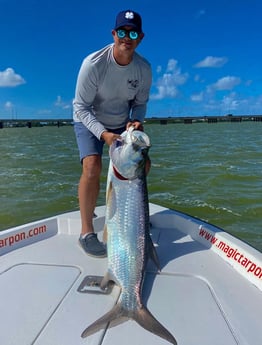 Tarpon Fishing in Carolina, Carolina