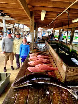 Red Snapper, Redfish Fishing in Boothville-Venice, LA, USA