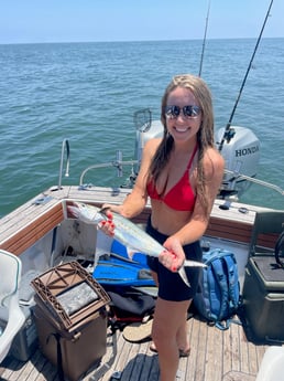 Fishing in Dauphin Island, Alabama