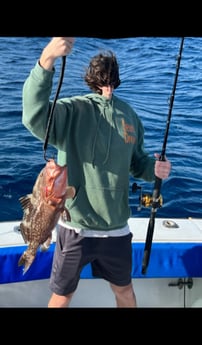 Red Grouper Fishing in West Palm Beach, Florida