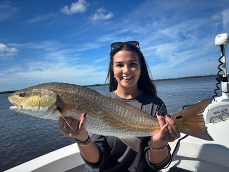 Fishing in Naples, Florida