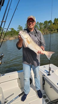 Redfish Fishing in Gulf Shores, Alabama