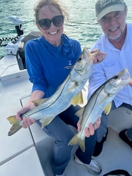 Snook Fishing in Miami Beach, Florida
