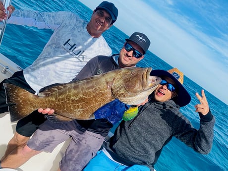 Black Grouper fishing in Miami Beach, Florida