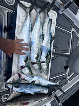 Fishing in Lakeland, Florida