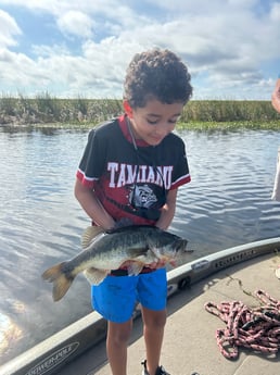 Largemouth Bass Fishing in