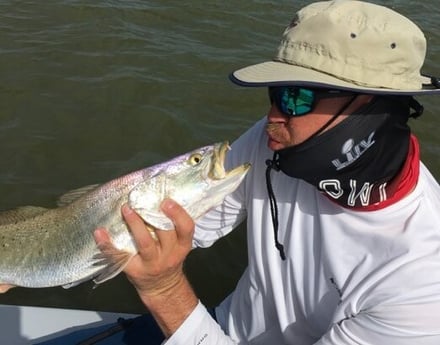 Speckled Trout / Spotted Seatrout fishing in Galveston, Texas