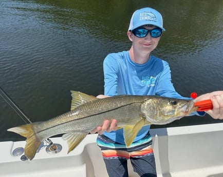 Fishing in St. Petersburg, Florida