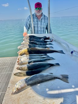 Fishing in South Padre Island, Texas