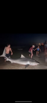Fishing in Rosemary Beach, Florida