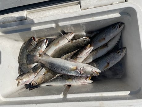 Fishing in Slidell, Louisiana