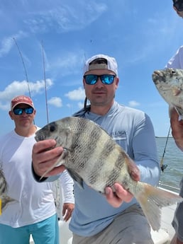 Sheepshead Fishing in Johns Island, South Carolina