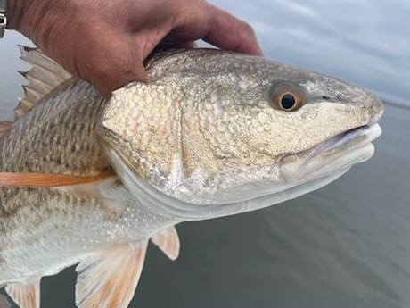 Fishing in Slidell, Louisiana