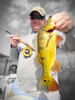 Fishing in Pembroke Pines, Florida