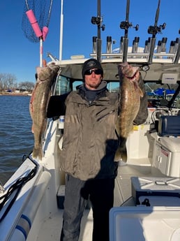 Walleye Fishing in Oak Harbor, Ohio