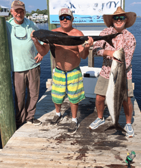 Fishing in Orange Beach, Alabama
