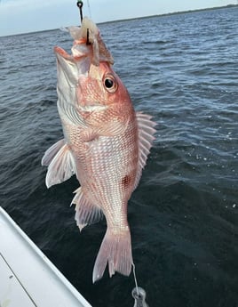 Fishing in Shalimar, Florida