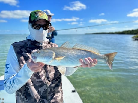 Redfish Fishing in Big Pine Key, Florida