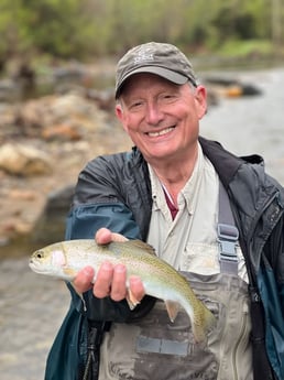 Brown Trout fishing in Leicester, North Carolina