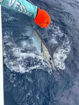 Fishing in Quepos, Costa Rica